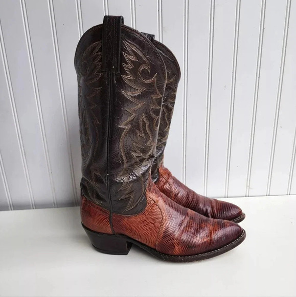 Dan Post Snakeskin Reptile Python Leather Cowgirl Cowboy Brown Boots Men’s 7 D - Picture 1 of 14